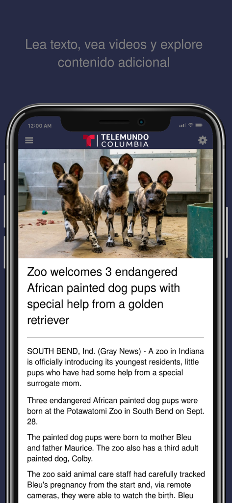 Telemundo Columbia WISTV-SP - La aplicación Telemundo Columbia muestra un artículo de noticias sobre cachorros de perro pintado africano en peligro de extinción en un zoológico.