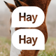 HayHay: För häst & ridning