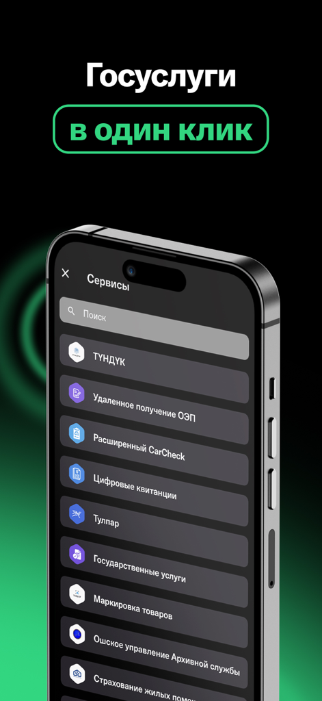 Smartphone screen of MegaPay app displaying Kyrgyz government services menu including Tunduk and digital receipts
