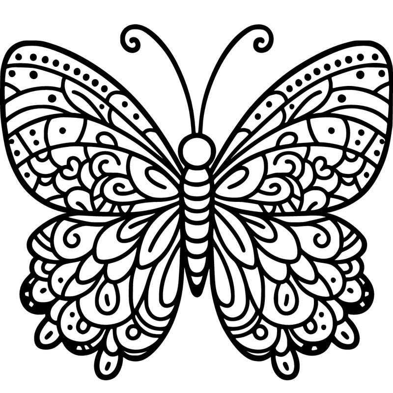 butterfly