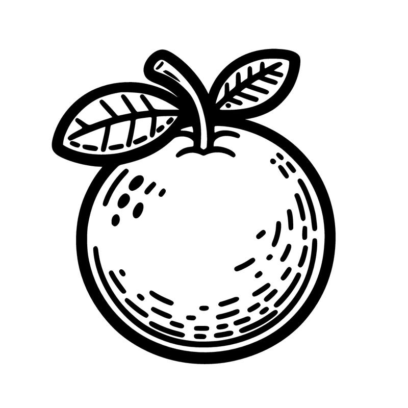 orange fruit out line