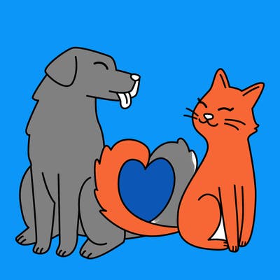 animals_22