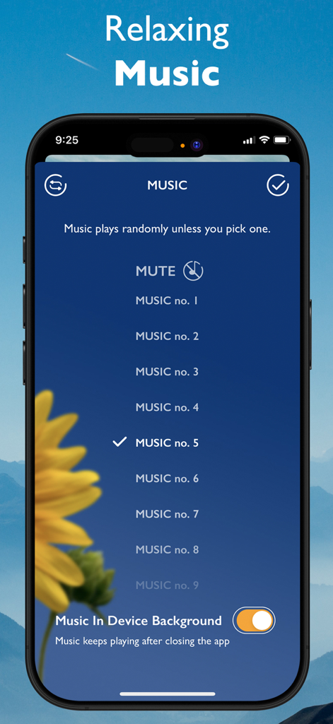 iPhone screen displaying a list of relaxing music tracks within the Sprinkle of Jesus app with a sunflower background