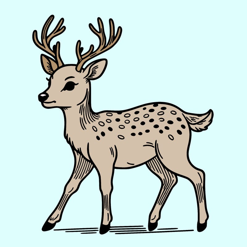 deer