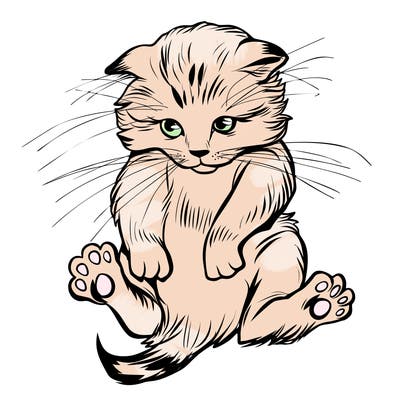 animals_20