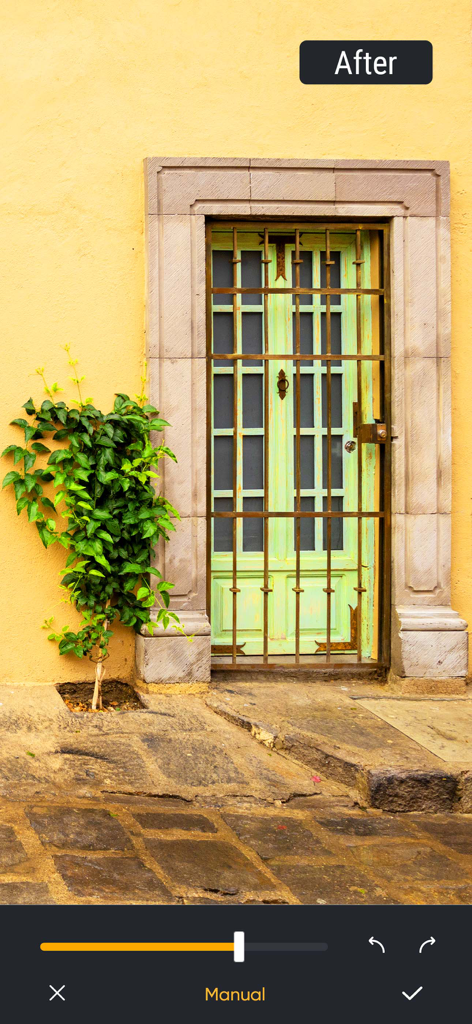 Captura de pantalla de la aplicación Elimina objetos de fotos que muestra una foto editada de una puerta verde con una planta