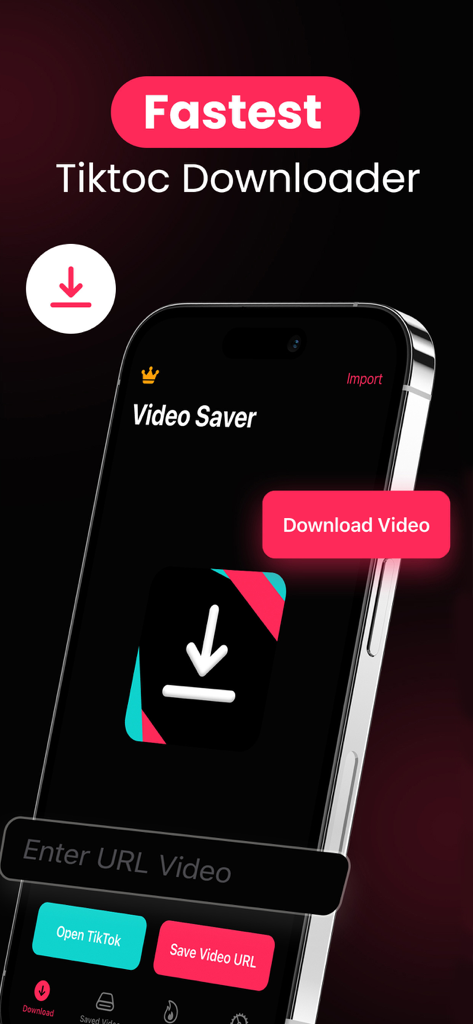 Interface de l'application SnapTik sur un iPhone montrant les options de téléchargement de vidéos TikTok par URL.