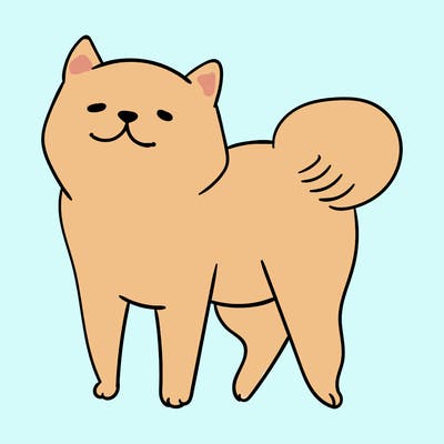 animals_29