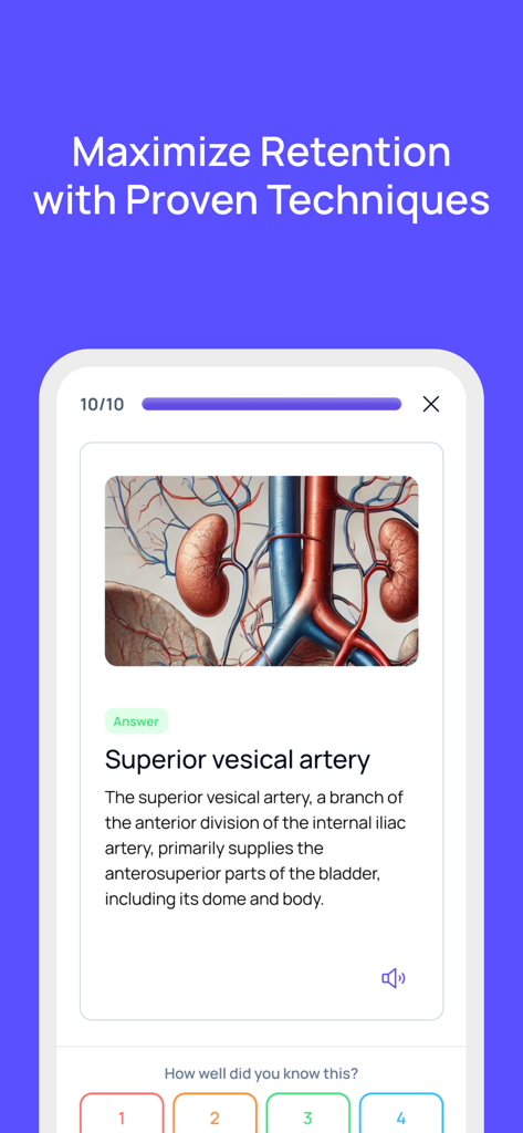 Quizgecko: AI Flashcards - Quizgecko app interface showing a medical anatomy flashcard for the superior vesical artery with an illustration and spaced repetition rating buttons