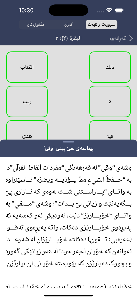 Benutzeroberfläche der Heiligen Koran Kurdisch App, die die Hevi-Wörterbuchfunktion mit linguistischen Erklärungen für arabische Verse zeigt