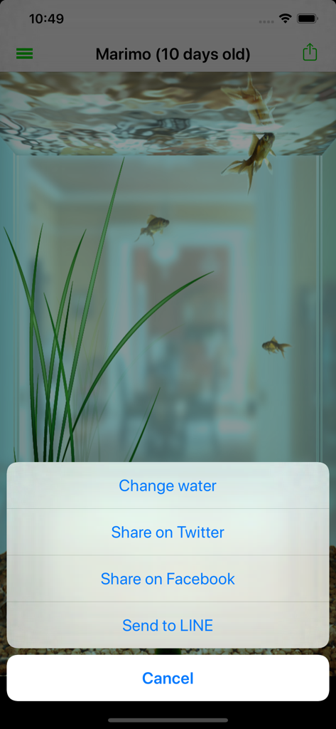 まりもアプリのアクションメニュー、水を交換したり、ソーシャルメディアで共有したりするオプション付き
