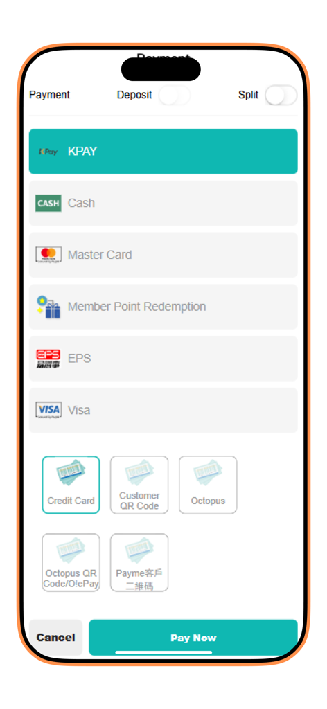 Posify Retail - Posify Retail app payment screen displaying multiple payment methods including cash, credit cards, and member point redemption options
