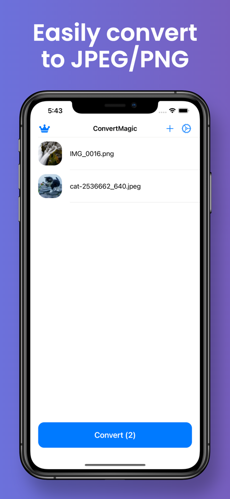 Convert JPEG PNG ConvertMagic - Interfaz de la aplicación ConvertMagic que muestra las imágenes seleccionadas para la conversión a JPEG y PNG