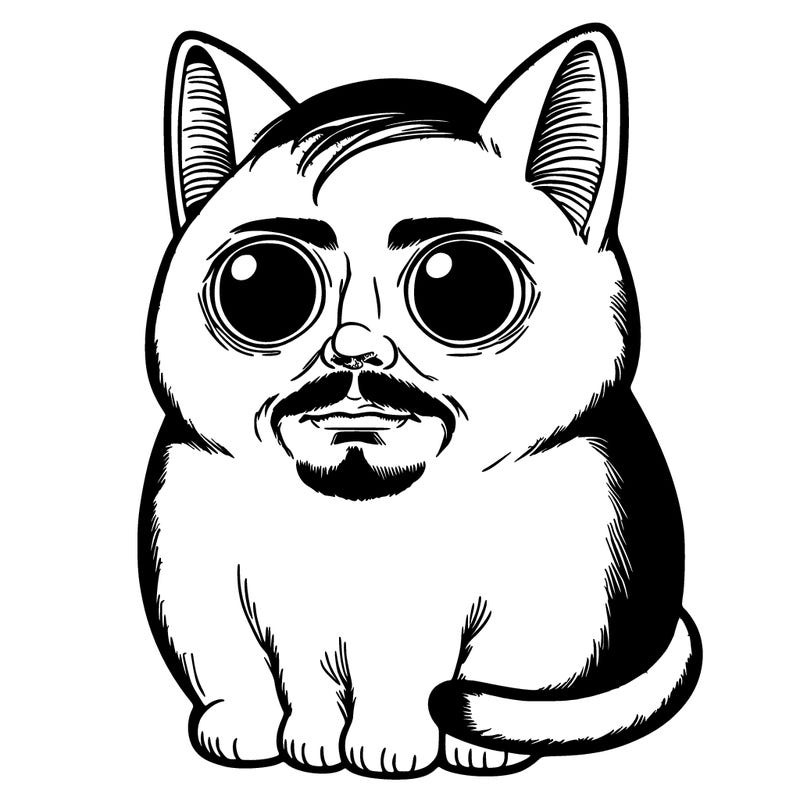 an adorable kitty with a horrifying realistic man face