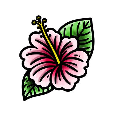 hibiscus flower