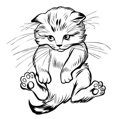 animals_20