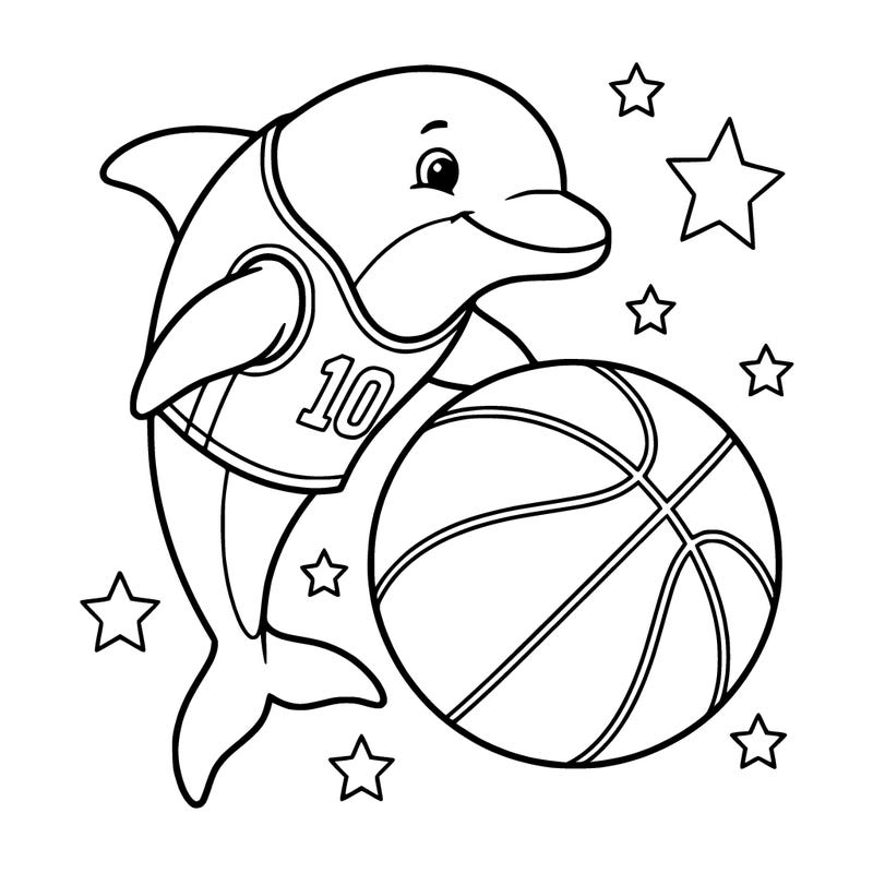 dolphin, basketball, number 10, stars