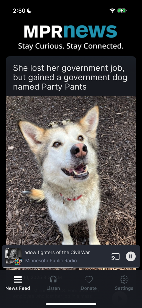 Captura de pantalla de la aplicación MPR News que muestra una historia sobre un perro del gobierno llamado Party Pants con una foto de un husky sonriente.