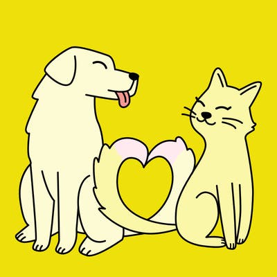 animals_22