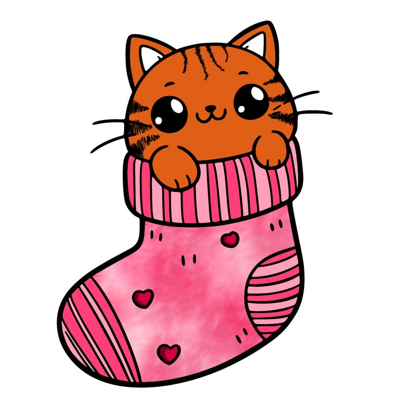cute cat in a sock