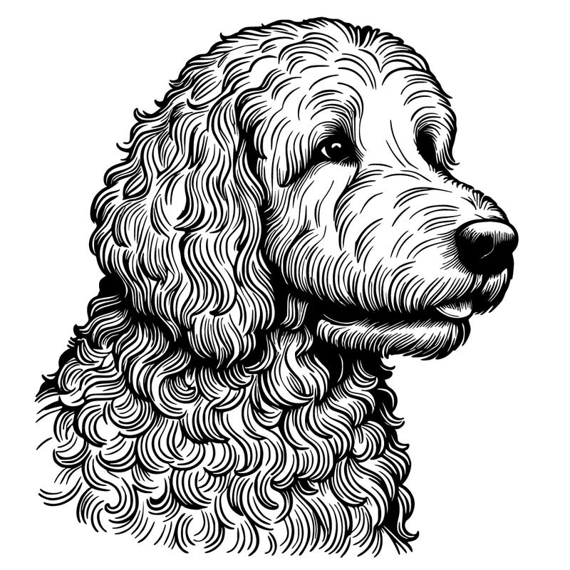 realistic golden doodle