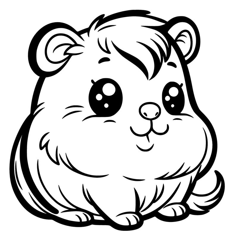 cute guinea pig