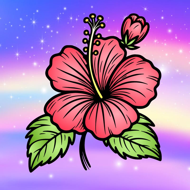 hibiscus flower