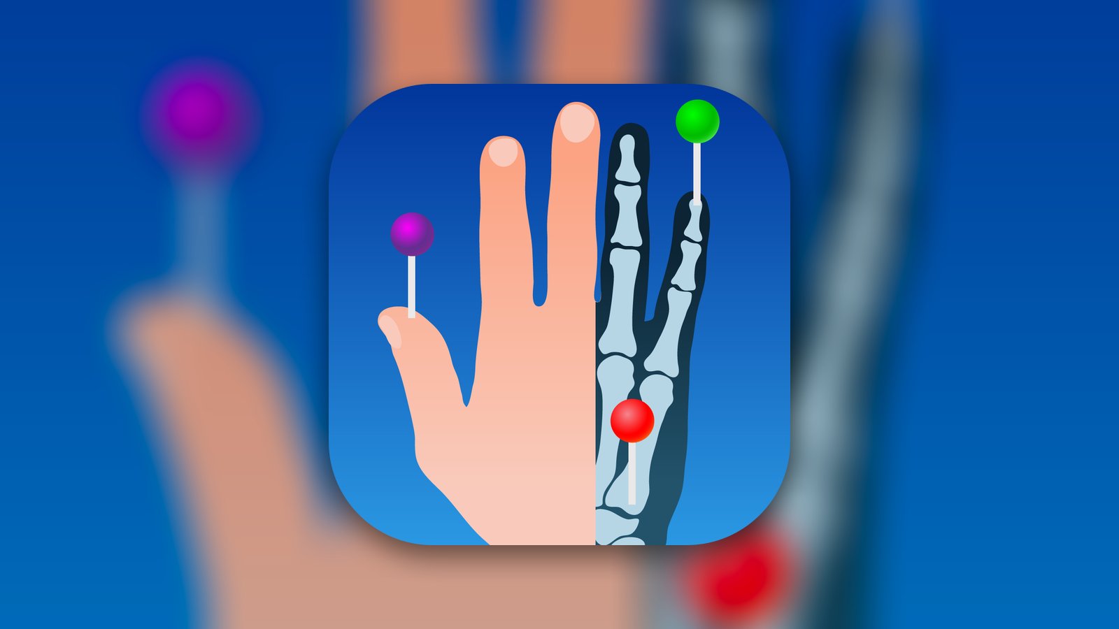 IMAIOS e-Anatomy - App di Medicina | MWM