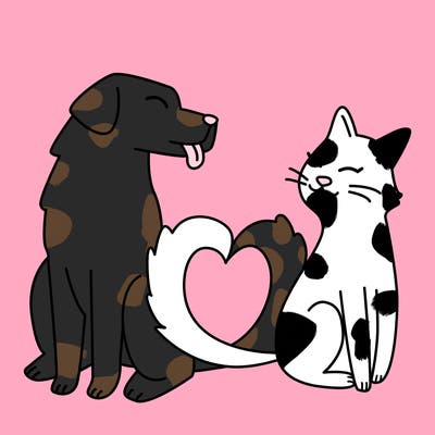 animals_22