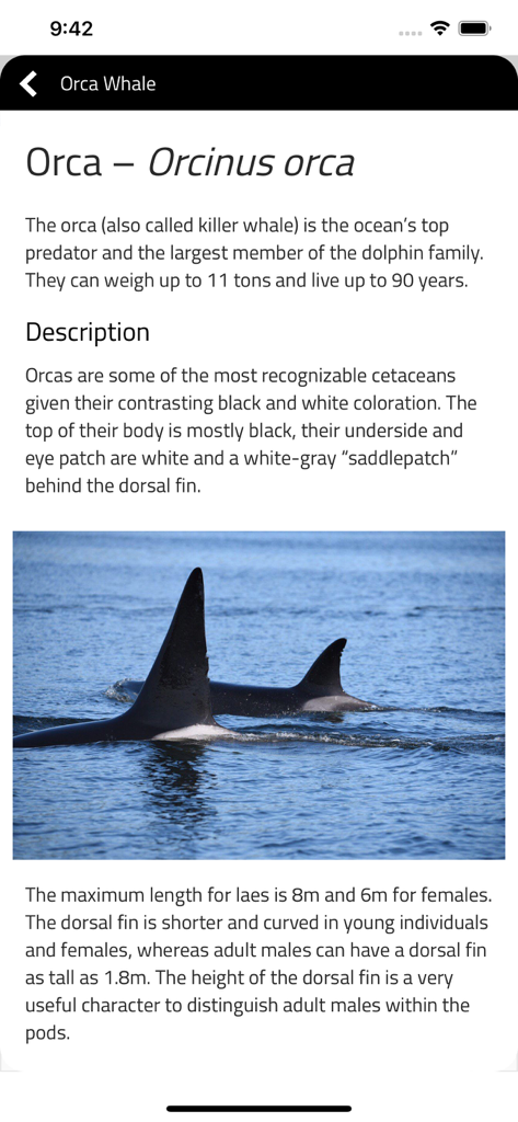 Orcinus - Educational screen from the Orcinus app showing information and a photo of orcas swimming in the ocean