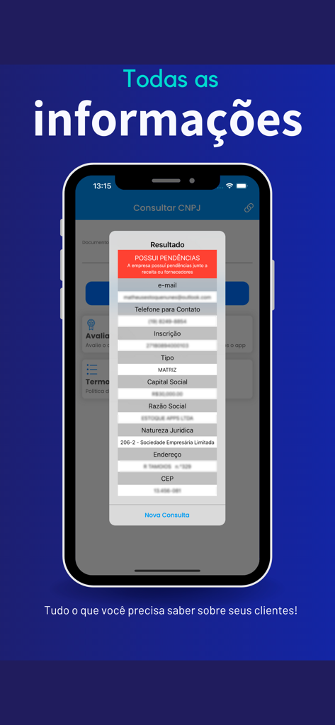 Consulta CNPJ Online - Smartphone screen showing the results of a Brazilian company search with detailed registration information and status