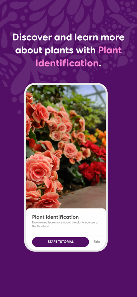 Gardens by the Bay - Bildschirm zur Pflanzenidentifizierung in der mobilen App von Gardens by the Bay