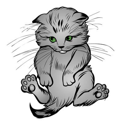 animals_20