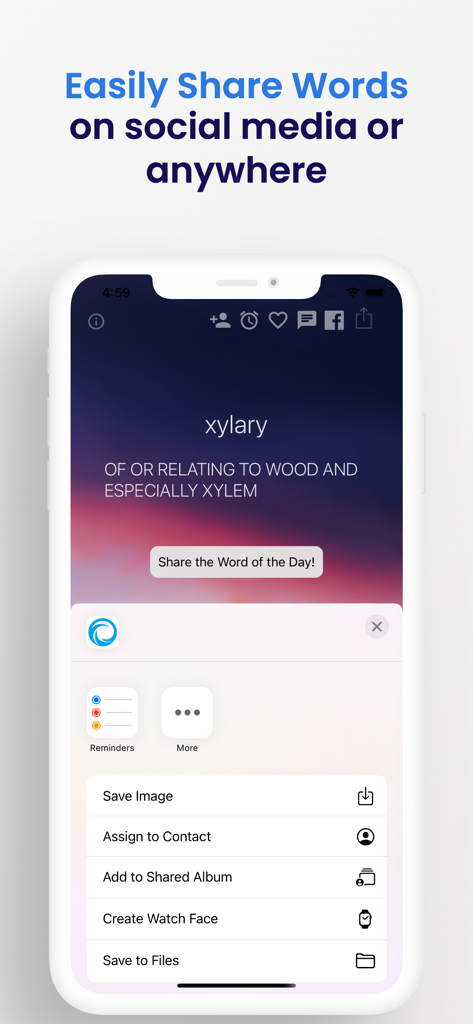 Word of the Day ‎ - Tela do iPhone mostrando as opções de compartilhamento para a palavra 'xylary' no aplicativo Palavra do Dia