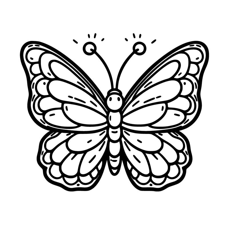 butterfly