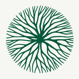 Localize - Farmers Market