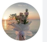 ₊˚ Cherry Blossom’s World 𓂃🎀