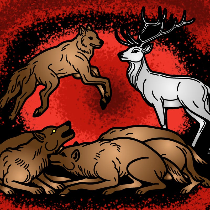 realistic deer being killed by wolves