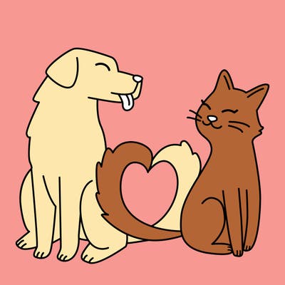 animals_22