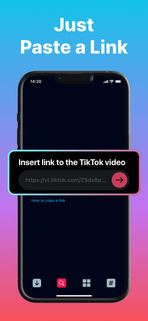 EasyTox app interface showing the just paste a link feature for downloading TikTok videos