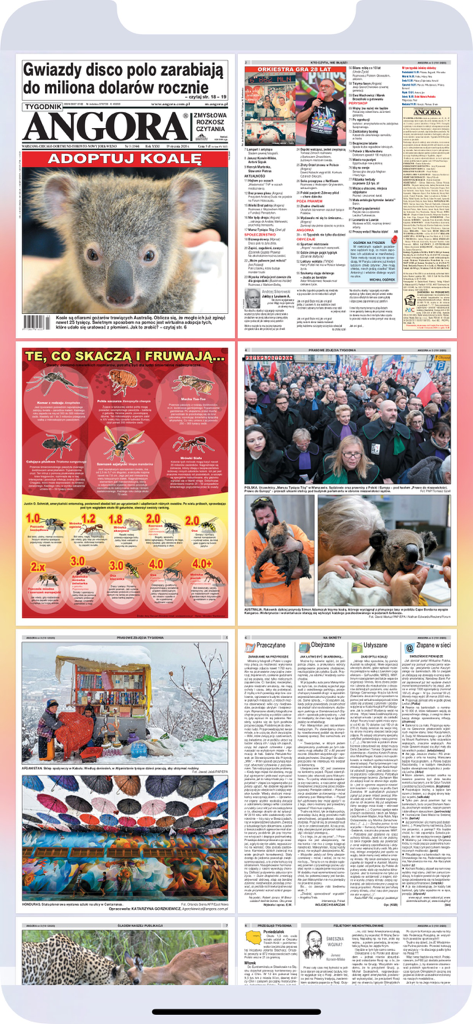 A collection of digital pages from the Tygodnik ANGORA app featuring news articles and high-quality photographs.