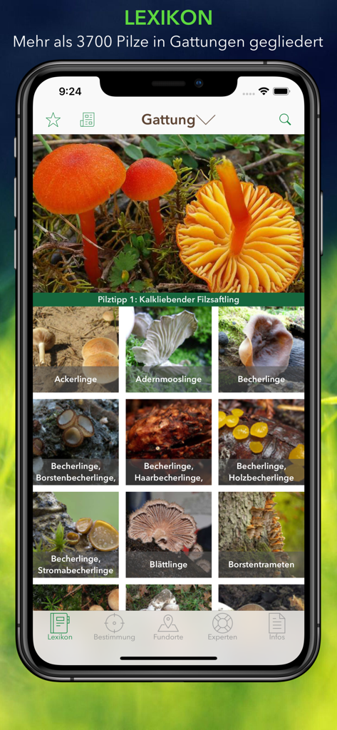 L'application Pilze 123 affichant une liste de catégories de champignons dans le lexique.