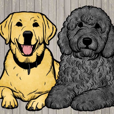 realistic dog lab and sheepadoodle