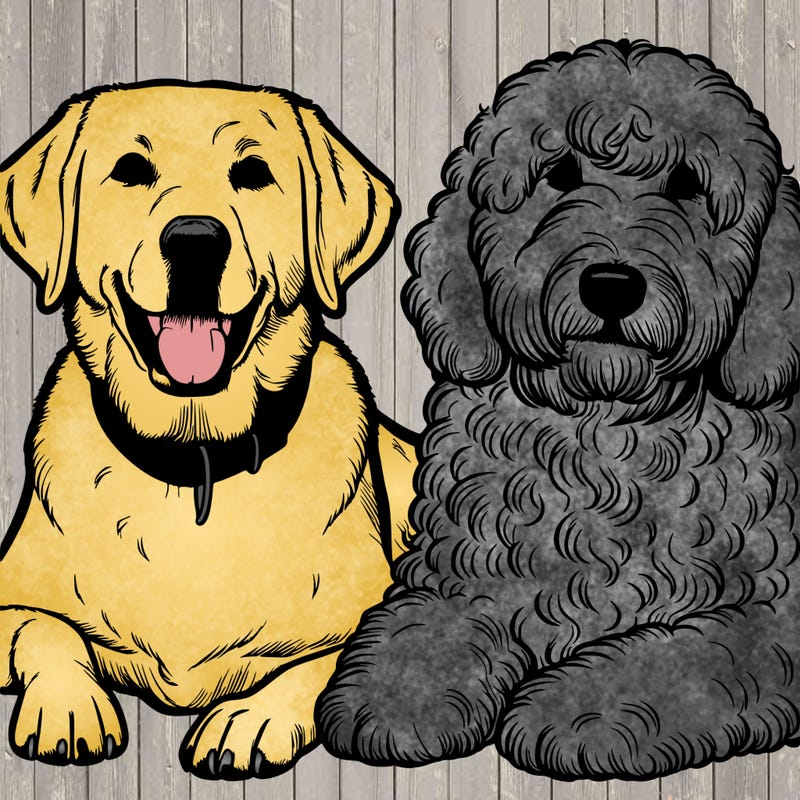 realistic dog lab and sheepadoodle