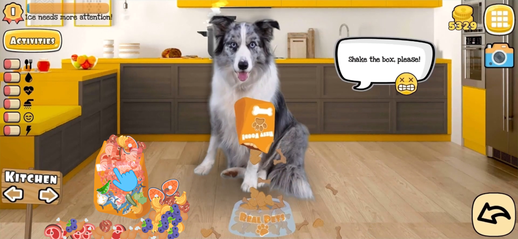 Fruwee: Virtual Pet Dog Games - Um cão da vida real pedindo comida em uma cena de cozinha do aplicativo de animais virtuais Fruwee