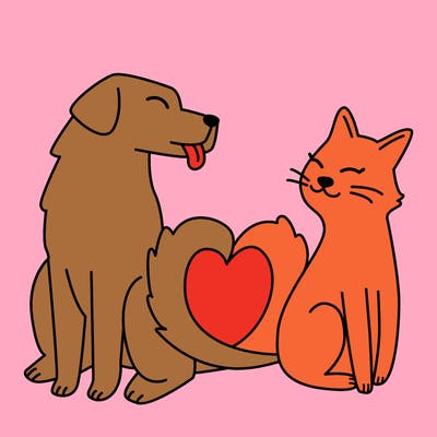 animals_22