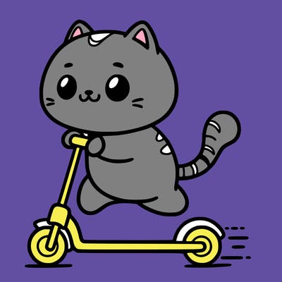 a cat scootering