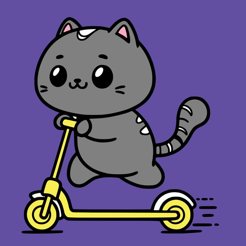 a cat scootering