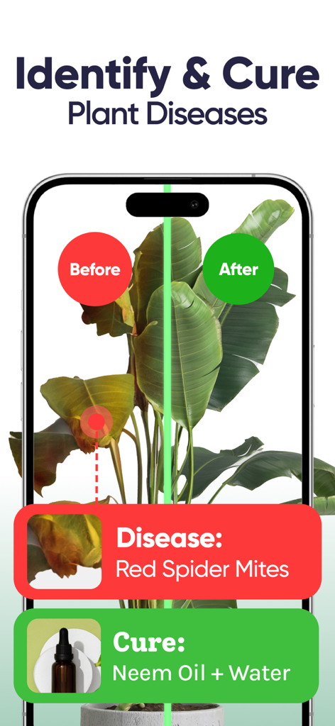 Plant Identifier, Care: Planty - Planty app interface showing a plant with red spider mites and the recommended neem oil treatment.