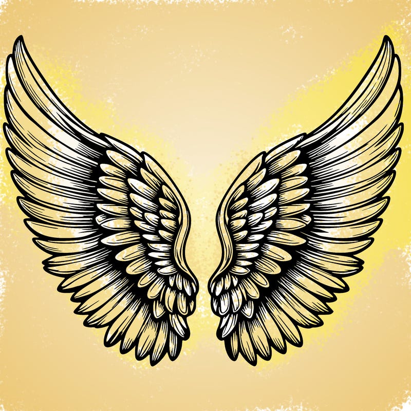 realistic angel wings 4 wings